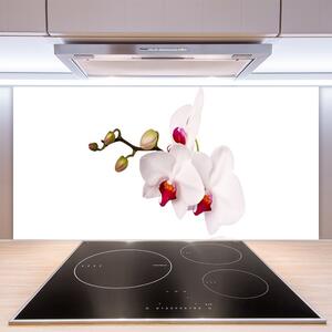 Skleněné obklady do kuchyně Květiny Příroda Orchidej 140x70 cm