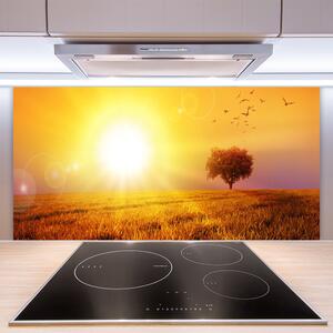 Skleněné obklady do kuchyně Západ Slunce Louka Plátky 125x50 cm