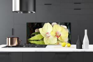 Skleněné obklady do kuchyně Okvětní Plátky Orchidej 125x50 cm