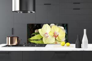 Skleněné obklady do kuchyně Okvětní Plátky Orchidej 125x50 cm