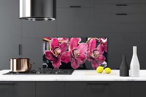 Skleněné obklady do kuchyně Květiny Orchideje Výhonky Příroda 100x50 cm