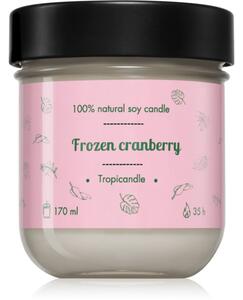 Tropicandle Frozen Cranberry vonná svíčka 170 ml