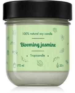 Tropicandle Green Tea vonná svíčka 170 ml