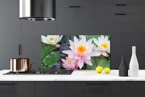 Skleněné obklady do kuchyně Květiny Rostlina Příroda 140x70 cm
