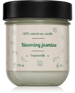 Tropicandle Blooming Jasmine vonná svíčka 170 ml