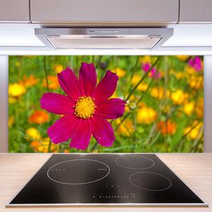 Skleněné obklady do kuchyně Květ Rostlina Příroda 140x70 cm