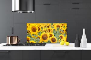 Skleněné obklady do kuchyně Slunečnice Rostlina Příroda 100x50 cm
