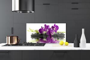 Skleněné obklady do kuchyně Květiny Rostlina Příroda 125x50 cm