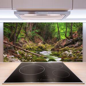 Skleněné obklady do kuchyně Les Mech Příroda 140x70 cm