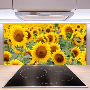 Skleněné obklady do kuchyně Slunečnice Rostlina Příroda 140x70 cm