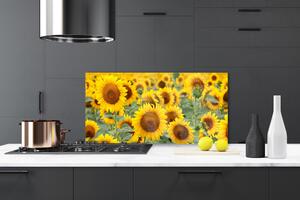 Skleněné obklady do kuchyně Slunečnice Rostlina Příroda 100x50 cm