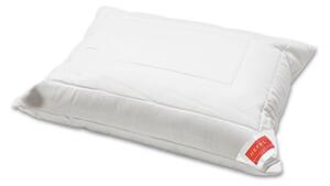 POLŠTÁŘ, 50/70 cm Hefel Textil - Polštáře pod hlavu