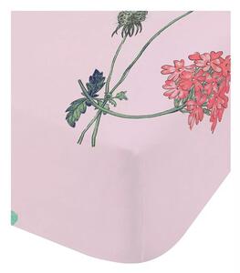 Napínací dětské prostěradlo na jednolůžko 90x190 cm Butterfly Garden – RHS