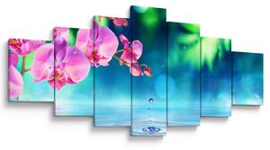 Obraz - Orchidej (210x100 cm)