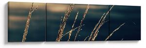 Obraz travin (170x50 cm)