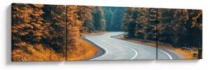 Obraz - Klikatící se silnice (170x50 cm)