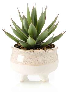 Umělý kaktus Echeveria v květináči, 20cm
