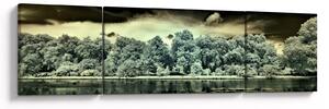 Obraz vodní plochy (170x50 cm)