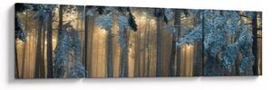Obraz zasněženého lesa (170x50 cm)