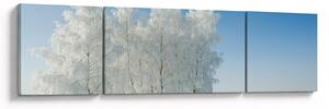 Obraz zasněžené krajiny (170x50 cm)