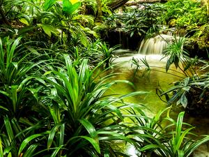 Fototapeta na zeď - Vodopád, příroda, džungle - FTN XXL 2491, 360 x 270 cm, AG Design