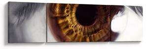 Obraz - Oko (170x50 cm)