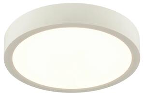 STROPNÍ LED SVÍTIDLO, 22,5/3,6 cm Boxxx - Stropní svítidla