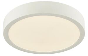 STROPNÍ LED SVÍTIDLO, 22,5/3,6 cm Boxxx - Stropní svítidla
