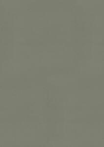 Gerflor TEXLINE NATURE 2374 Smooth Eucalypto , Šíře role Šíře role 2m