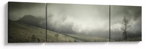 Obraz krajiny před bouři (170x50 cm)