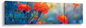 Obraz - Oranžové květy (170x50 cm)
