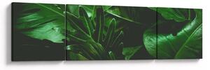 Obraz - Palmové listy (170x50 cm)