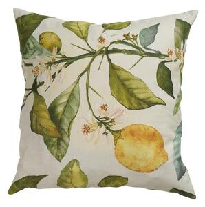 Klippan Povlak na polštář Citrus multi 45x45