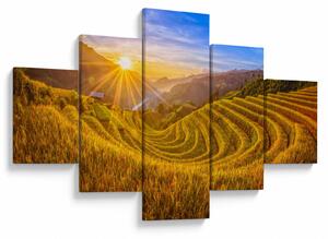 Obraz - Rýžové terasy ve Vietnamu (125x70 cm)