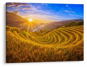 Obraz - Rýžové terasy ve Vietnamu (70x50 cm)