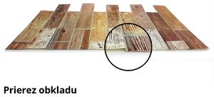 GRACE obkladový panel TP10011591 980 x 480 mm dřevěný dub holandský