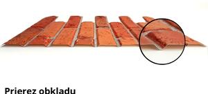 Natural Brick - 3D PVC obklad (970 x 500 mm - 0,49 m2)