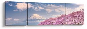 Obraz - Japonská jarní krajina (170x50 cm)