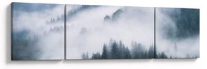 Obraz - Stromy v mlze (170x50 cm)
