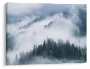 Obraz - Stromy v mlze (70x50 cm)