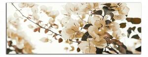 Obraz na plátně Hnědé květy