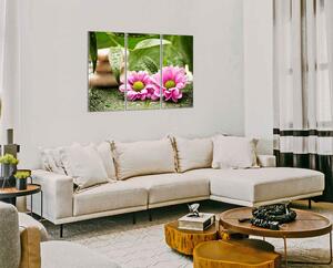 Obraz na plátně Květy a zen kameny