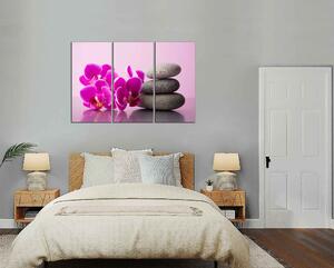 Obraz na plátně Orchidej a zen kameny
