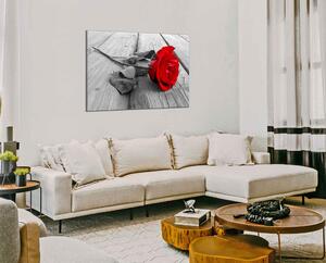 Obraz do bytu Červená růže
