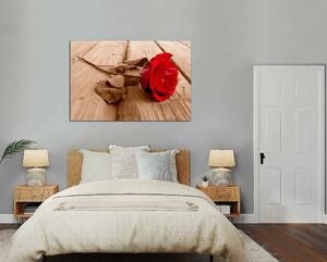 Obraz na plátně Červená růže