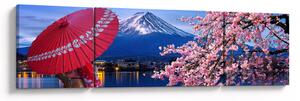 Obraz - Výhled na vrchol, Japonsko (170x50 cm)