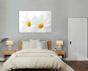 Obraz na zeď Bílé květy