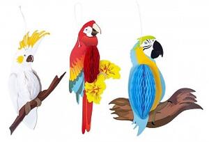 Tři papoušci k zavěšení
