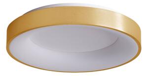 Italux 5304-850RC-GD-3 LED stropní svítidlo Giulia D600mm 50W/2750lm 3000K zlatá, bílá