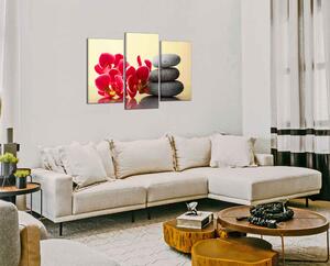 Obraz na plátně Orchideje a zen kameny